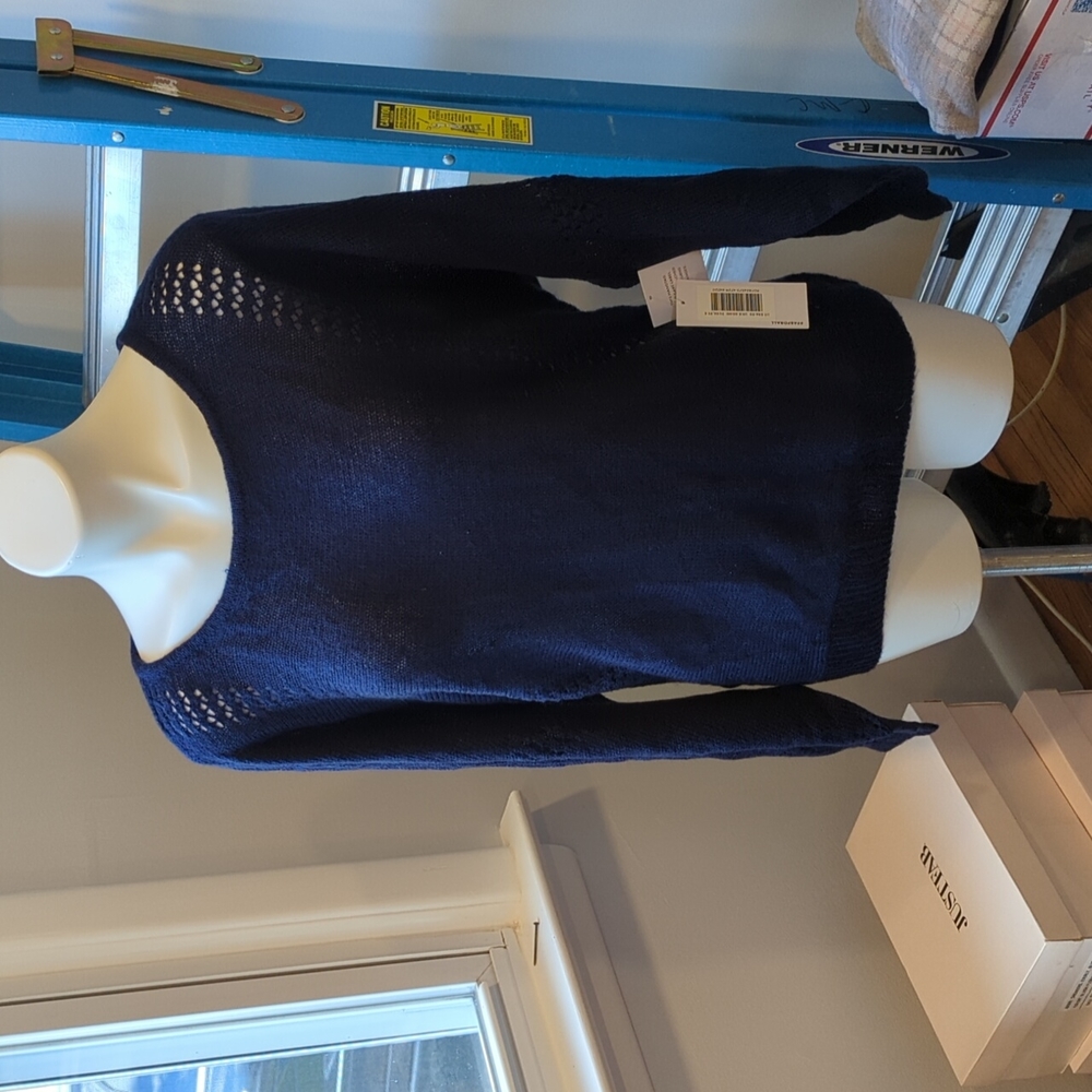 Blue Sweater